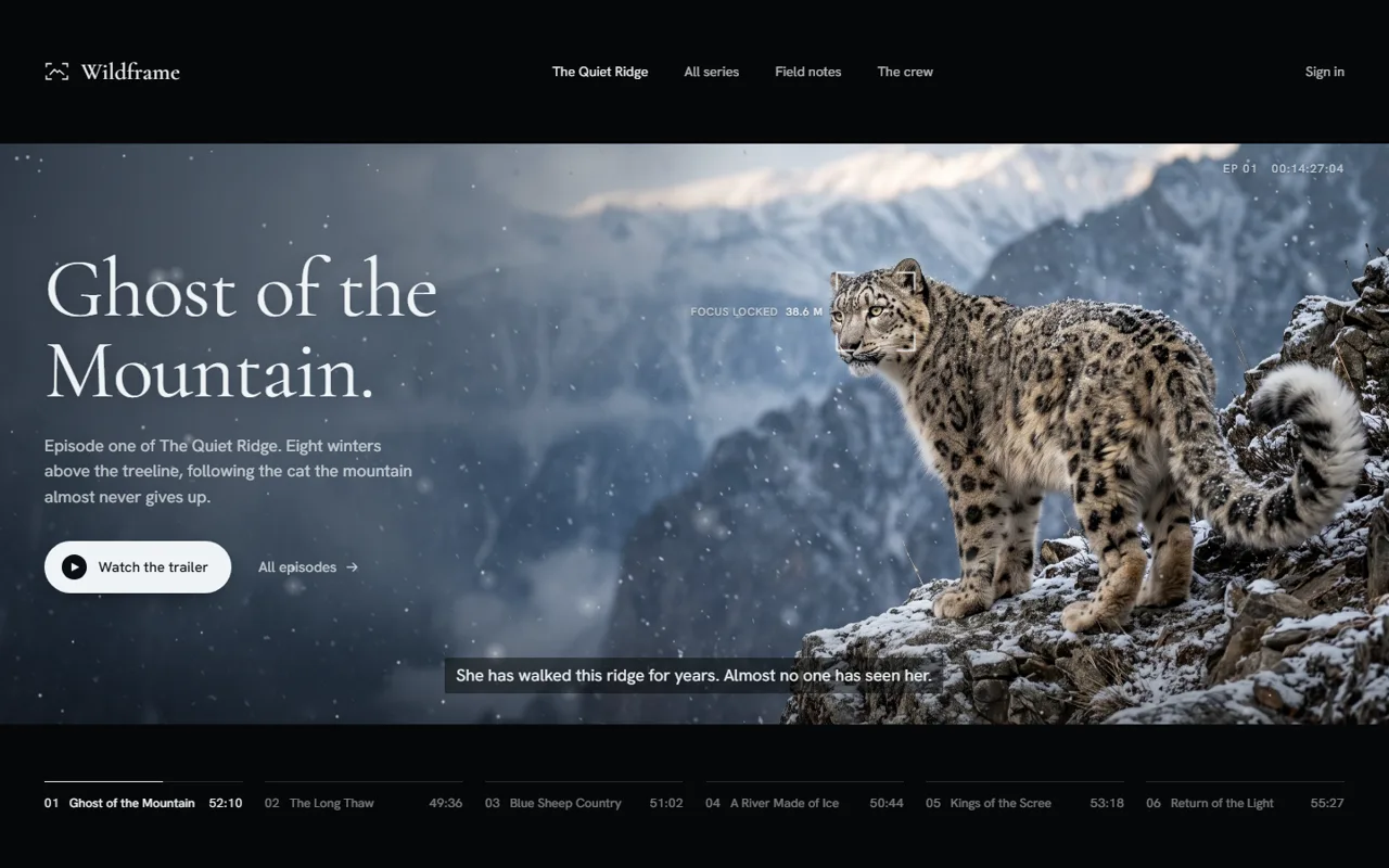Wildframe, media concept website by Web Tactics